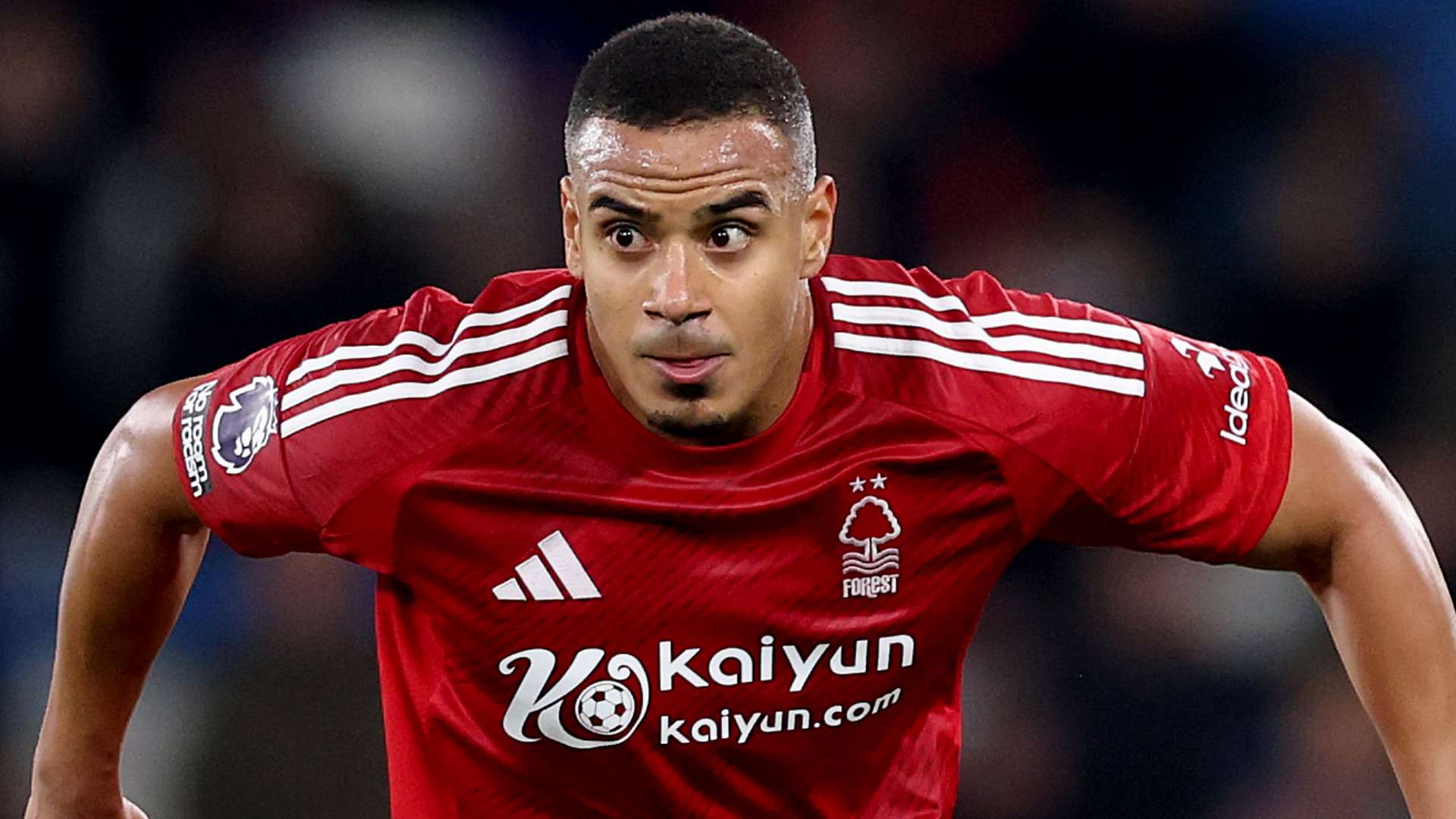 这种文化的 这种文化的