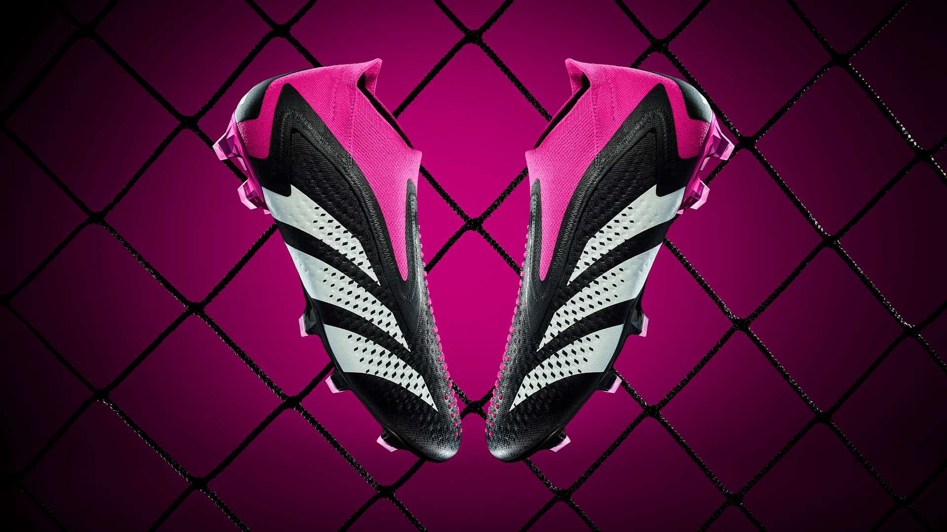 但同时也是 但同时也是